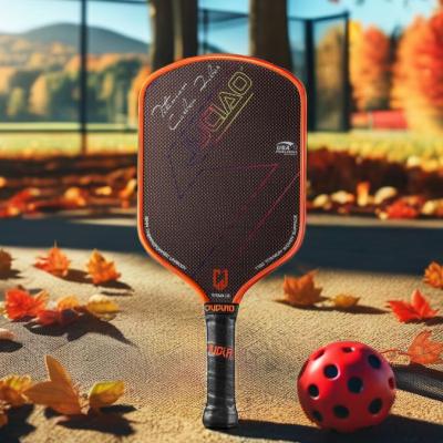 Titanium Pickleball Paddle